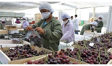 PROMPERÚ presenta Inspira para promover la innovación empresarial en turismo, exportaciones e inversiones