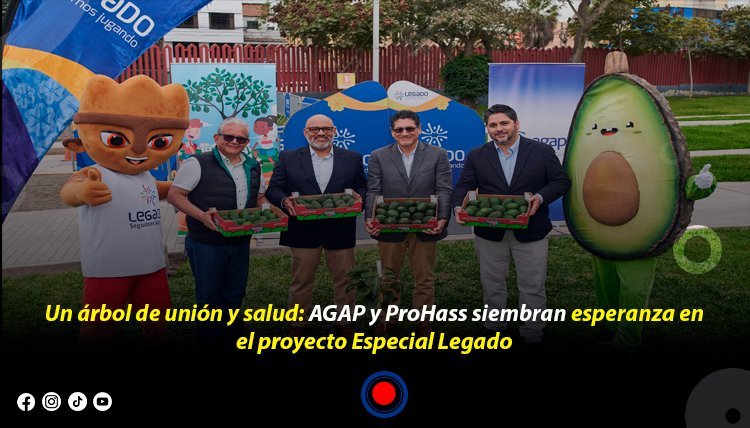 Árbol de Palta Hass Plantado en el Proyecto Especial Legado por AGAP y ProHass