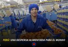 PERÚ: UNA DESPENSA ALIMENTARIA PARA EL MUNDO