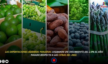 AGROEXPORTACIONES SUPERARÁN LOS 11,500 MILLONES DE DÓLARES EN EL 2024