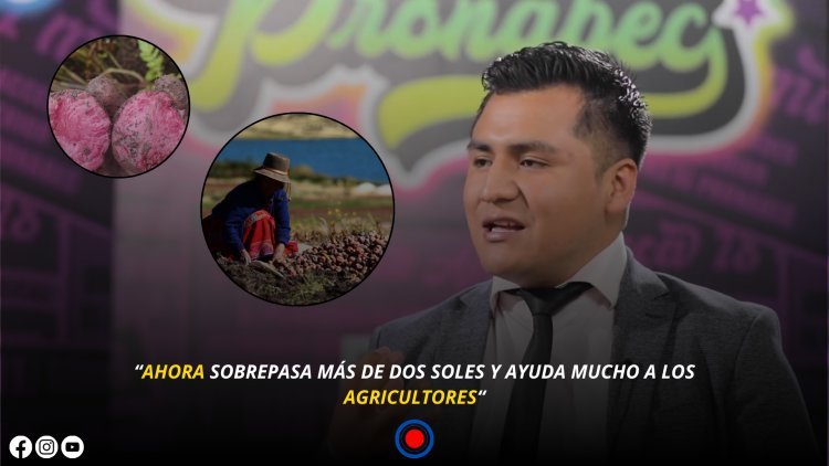 EFRAÍN TICLLA: HUANCAVELICANO QUE LOGRÓ QUE LA PAPA DE SU PUEBLO TUVIERA UN PRECIO JUSTO Y AHORA LA VENDE A INKA CHIPS