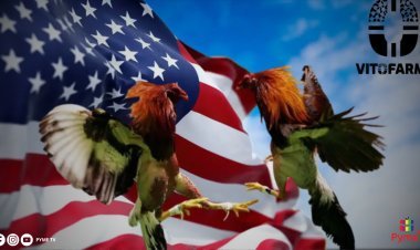 HISTORIA DE ÉXITO: DE AMBULANTE EN CHICLAYO A EMPRESARIO EXITOSO EN EE.UU