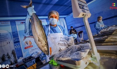 SEMANA SANTA: PRODUCE ESTIMA QUE SE CONSUMIRÁN CERCA DE 8,400 TONELADAS DE PESCADO