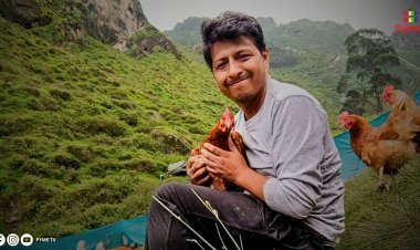 FUNDO PAMPAMAYO: EMPRENDIMIENTO FAMILIAR QUE REVOLUCIONA LA CRIANZA DE GALLINAS PONEDORAS