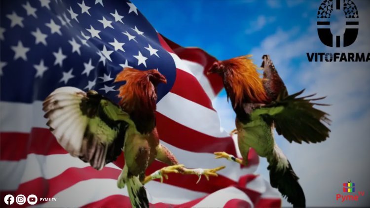 HISTORIA DE ÉXITO: DE AMBULANTE EN CHICLAYO A EMPRESARIO EXITOSO EN EE.UU