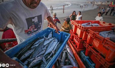 PRODUCE SUPERÓ LO ESTIMADO: SE CONSUMIÓ MÁS DE 8500 TONELADAS EN SEMANA SANTA