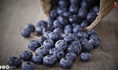 PERÚ PROYECTA 13 PRODUCTOS AGRÍCOLAS PARA CONQUISTAR NUEVOS MERCADOS INTERNACIONALES