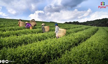 AGROEXPORTACIONES EN AUGE: LAS VENTAS SUMARON MÁS DE US$1,862 MILLONES