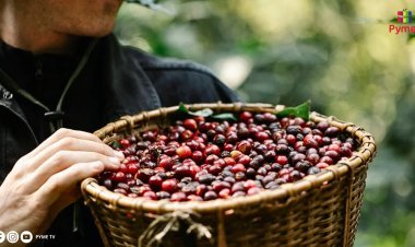GOBIERNO FORMA GRUPO TÉCNICO PARA ELABORAR UNA NUEVA LEY DE PROMOCIÓN AGRARIA
