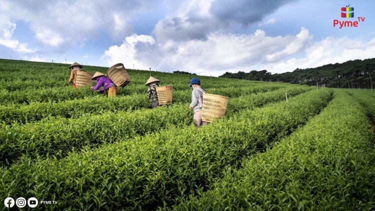 AGROEXPORTACIONES EN AUGE: LAS VENTAS SUMARON MÁS DE US$1,862 MILLONES