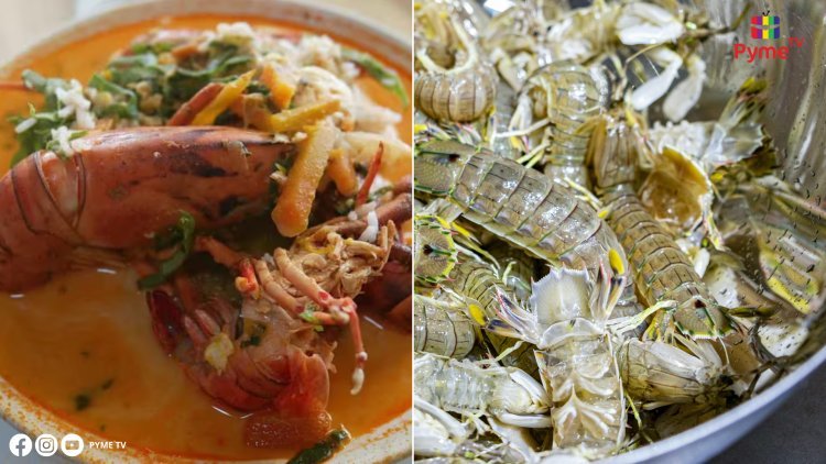 COMIENZA LA TEMPORADA DE PESCA DE CAMARONES DESPUÉS DEL ALZA DE VEDA