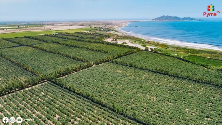 CHAVIMOCHIC III AGREGARÁ 63,000 HECTÁREAS A LA ACTIVIDAD AGRÍCOLA Y MEJORARÁ LAS CONDICIONES PARA OTRAS 48,000