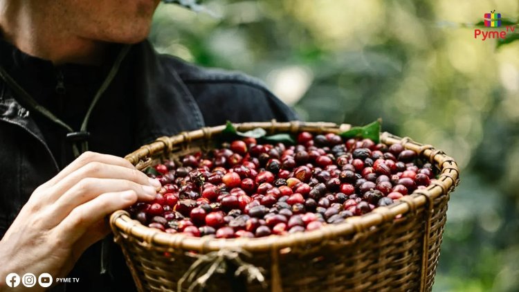 GOBIERNO FORMA GRUPO TÉCNICO PARA ELABORAR UNA NUEVA LEY DE PROMOCIÓN AGRARIA