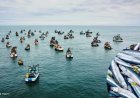 MÁS DE UN MILLÓN DE TONELADAS DE ANCHOVETA EN LA PRIMERA TEMPORADA EN LA ZONA NORTE-CENTRO