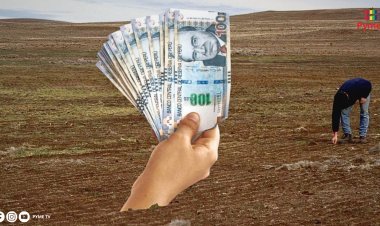 GOBIERNO OFRECERÁ CRÉDITOS CON TASAS DE INTERÉS DE HASTA 5% A PRODUCTORES AGRARIOS