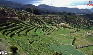 GOBIERNO IMPULSA MEGAPROYECTO PARA RECUPERAR 120,000 HECTÁREAS DE ANDENES