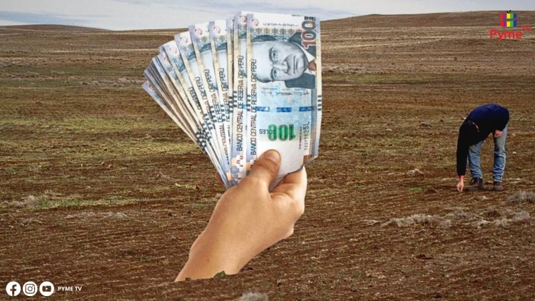 GOBIERNO OFRECERÁ CRÉDITOS CON TASAS DE INTERÉS DE HASTA 5% A PRODUCTORES AGRARIOS