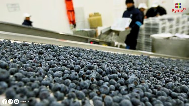 SUPERÁVIT EN LA BALANZA COMERCIAL ALCANZÓ US$ 17,866 MILLONES EN MARZO