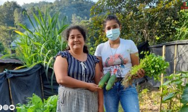 MIDAGRI ACTUALIZA NORMATIVA PARA IMPULSAR LA SOSTENIBILIDAD Y COMPETITIVIDAD DEL SECTOR AGRARIO