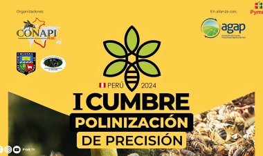 I CUMBRE DE POLINIZACIÓN DE PRECISIÓN: INNOVACIÓN Y SOSTENIBILIDAD EN LA APICULTURA