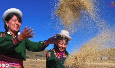 EXPORTACIÓN DE GRANOS ANDINOS AUMENTA EN UN 42,5% EN LOS PRIMEROS CUATRO MESES DE 2024