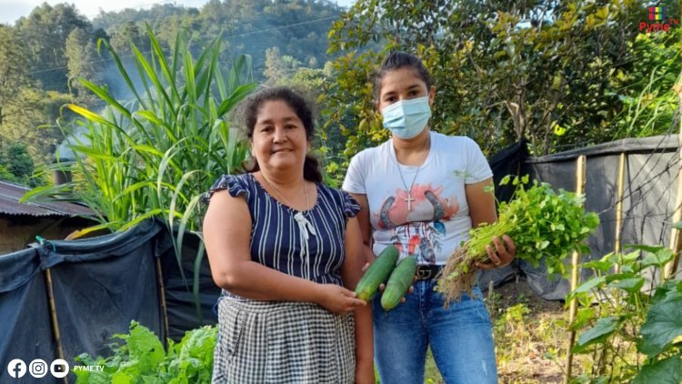 MIDAGRI ACTUALIZA NORMATIVA PARA IMPULSAR LA SOSTENIBILIDAD Y COMPETITIVIDAD DEL SECTOR AGRARIO