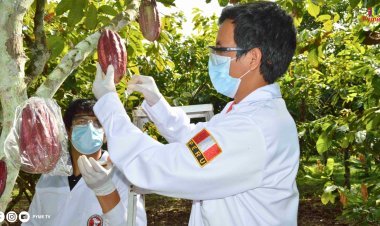 IMPULSO A LAS MIPYMES: PRODUCE INVIERTE S/985.4 MILLONES EN PROYECTOS INNOVADORES