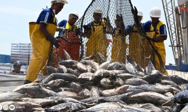 CRECIMIENTO ECONÓMICO: SECTOR PESQUERO AUMENTA UN 329% EN MAYO DE 2024