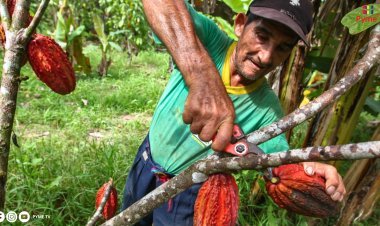 NUEVA LEY PROMUEVE INVESTIGACIÓN Y EXPORTACIÓN DE PEQUEÑOS PRODUCTORES AGRÍCOLAS