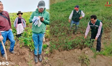SEGURO AGRARIO CATASTRÓFICO: GOBIERNO DESTINA 1 MILLÓN 837 MIL 200 SOLES PARA SU COBERTURA