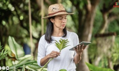 SEMANA DE LA INNOVACIÓN 2024: PROMOVIENDO LA INTELIGENCIA ARTIFICIAL Y LA SOSTENIBILIDAD EN PERÚ