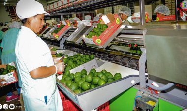 EXPORTACIONES DE FRUTAS CRECEN A US$ 1,933 MILLONES EN LOS PRIMEROS CINCO MESES 2024