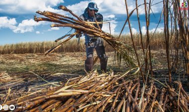 INDUSTRIA MANUFACTURERA PERUANA CRECE UN 18.6% POR SEGUNDO MES CONSECUTIVO