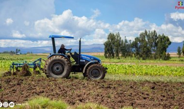 AGROEXPORTACIONES CONTINÚAN SU CRECIMIENTO SOSTENIDO EN 2024