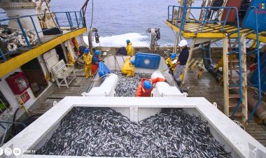 PERÚ LIDERA LA PESCA SOSTENIBLE EN AMÉRICA DEL SUR