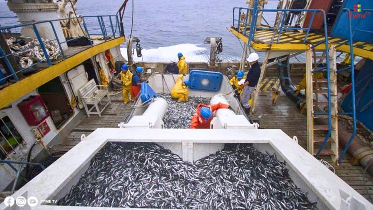 PERÚ LIDERA LA PESCA SOSTENIBLE EN AMÉRICA DEL SUR