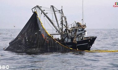 LA FAO FELICITA AL PERÚ POR MEJORAS EN LA GESTIÓN DE LA PESQUERÍA DE ANCHOVETA