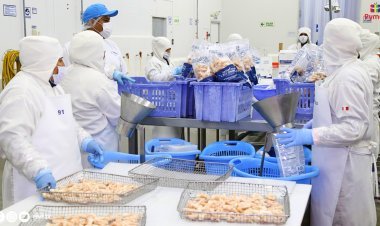 PERÚ REFUERZA CONTROLES DE ACUICULTURA PARA MANTENER EXPORTACIONES A LA UNIÓN EUROPEA