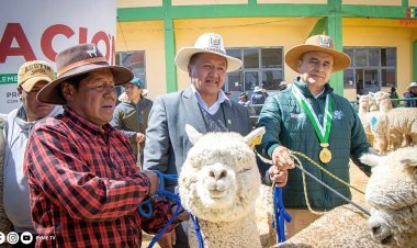 MIDAGRI INAUGURA FERIA NACIONAL FECASAM 2024, DESTACANDO LA IMPORTANCIA DE LOS CAMÉLIDOS SUDAMERICANOS