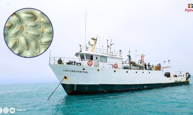 IMARPE INICIA EVALUACIÓN DEL STOCK NORTE-CENTRO DE ANCHOVETA PARA LA SEGUNDA TEMPORADA DE PESCA 2024