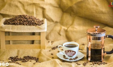 DÍA DEL CAFÉ: GRANO PERUANO CONQUISTA 52 MERCADOS INTERNACIONALES EN 2024