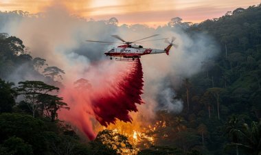 Perú refuerza combate contra incendios forestales con moderna flota aérea especializada