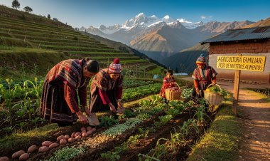 Publican proyecto de ley de agricultura familiar: ¿Qué cambia para 2.2 millones de familias campesinas?