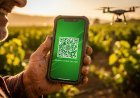 Revolución en el campo: Lanzan plataforma de trazabilidad Blockchain para pequeñas fincas de exportación