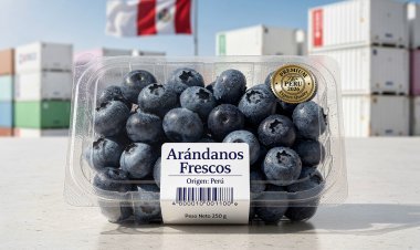 ¡Líderes Mundiales! Perú cierra enero 2026 con récord histórico en exportación de arándanos